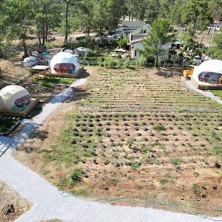 Pavlonyaguestfarm Dome House 1 Appartamento Marmaris